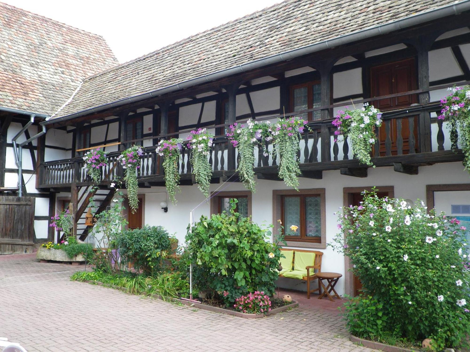 Hotel A L'Arc En Ciel Blaesheim Esterno foto