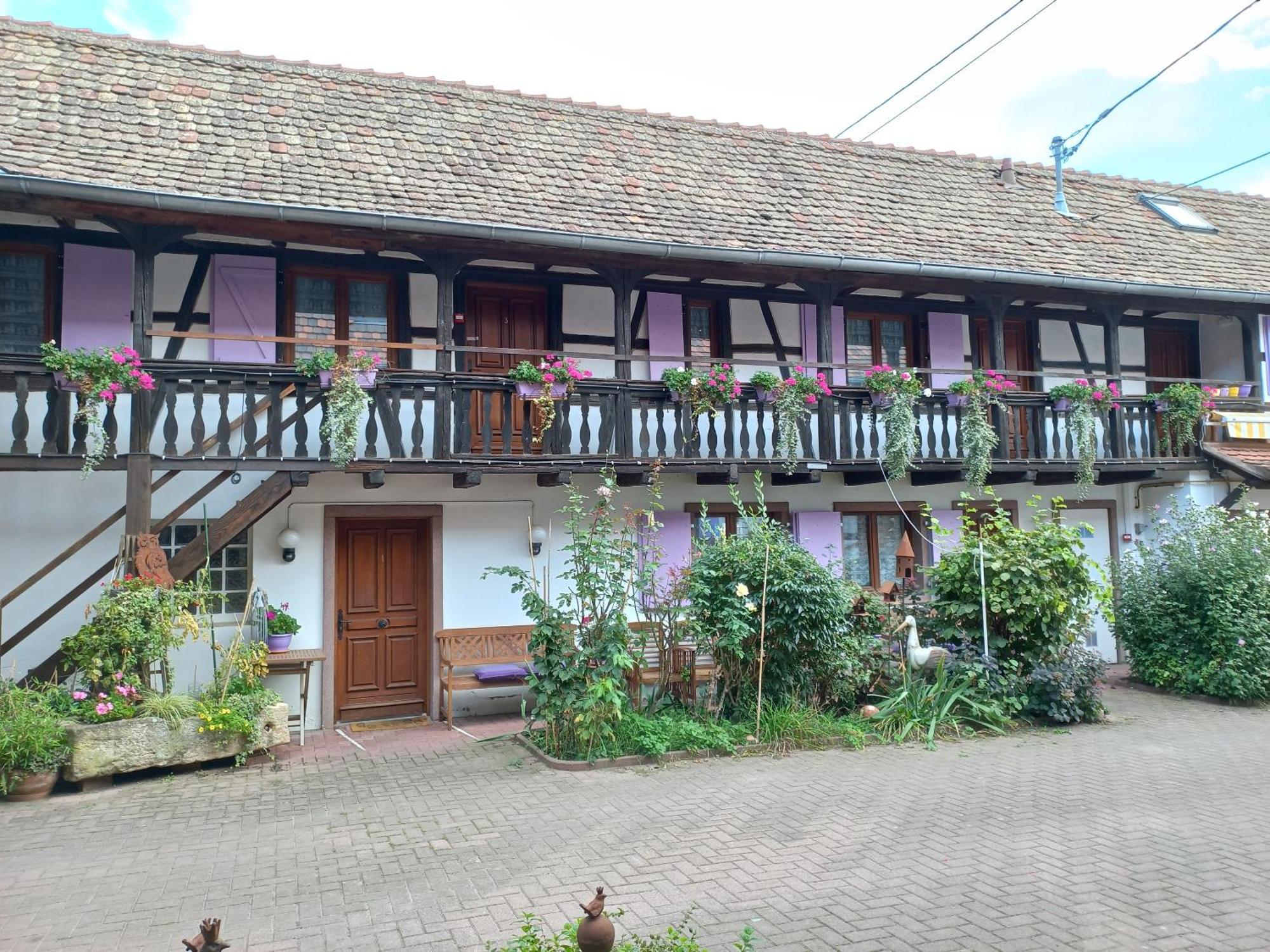 Hotel A L'Arc En Ciel Blaesheim Esterno foto